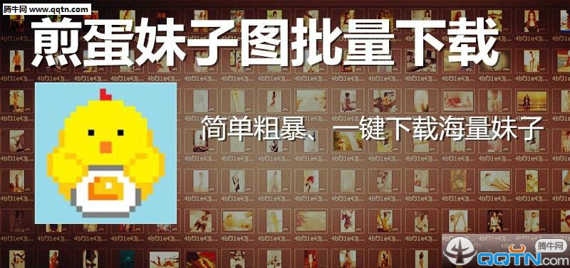 煎蛋妹子图片批量软件截图