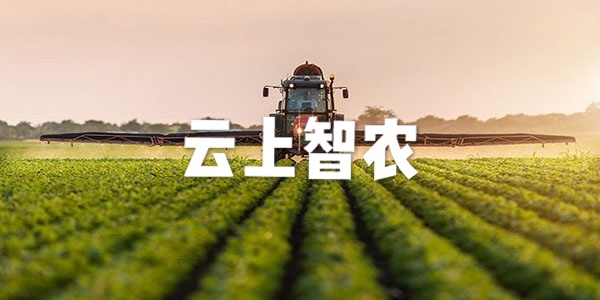云上智农排行榜