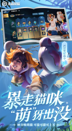 王者荣耀比赛服游戏截图3