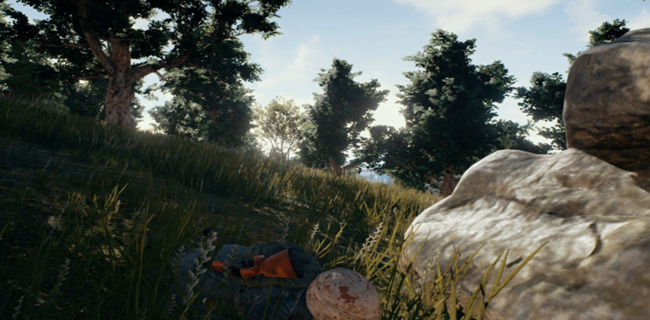 腾讯pubg正版手游（绝地求生）游戏截图