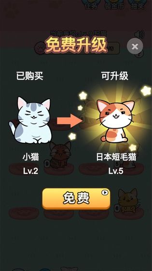 我的小猫花花游戏截图