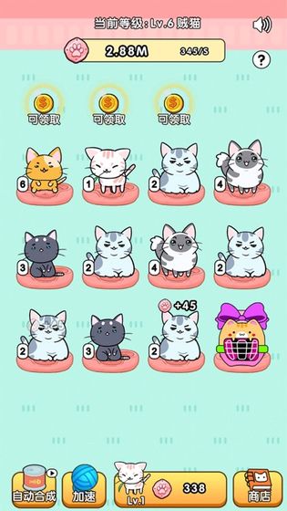 我的小猫花花游戏截图