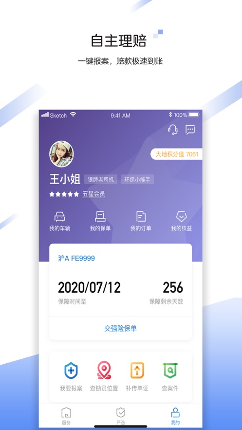 中国大地保险超级软件截图