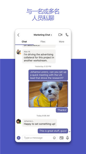 MicrosoftTeams软件截图