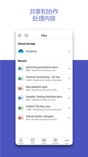 MicrosoftTeams软件截图