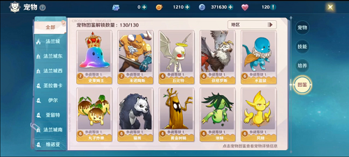魔力宝贝旅人带什么宠物